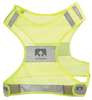 Streak Reflective Vest
